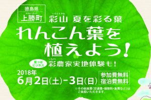 農業体験しませんか？