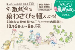 農業体験しませんか？Part４『葉わさびを植えよう！』