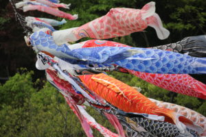 気温も上がり☀ワクワクする季節がやってきた♪