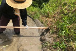 農ある暮らしで運動不足解消？！