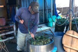 【追加募集終了しました】地域おこし協力隊！！