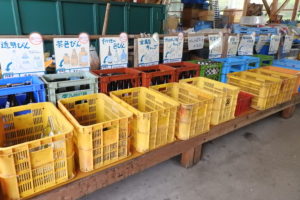 上勝町オンライン視察開催のお知らせ☆彡