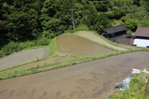 上勝暮らし～美味しいお米ができるまで編～