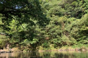 上勝で夏アソビ🌻