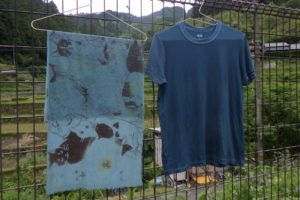 上勝で藍染体験🍂！