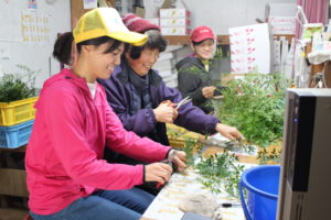 ＼上勝で農業がしたい人を募集します！！／