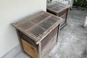 お試し暮らし参加者からの嬉しい報告！