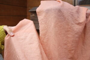 草木染めワークショップにお邪魔してきました🌿