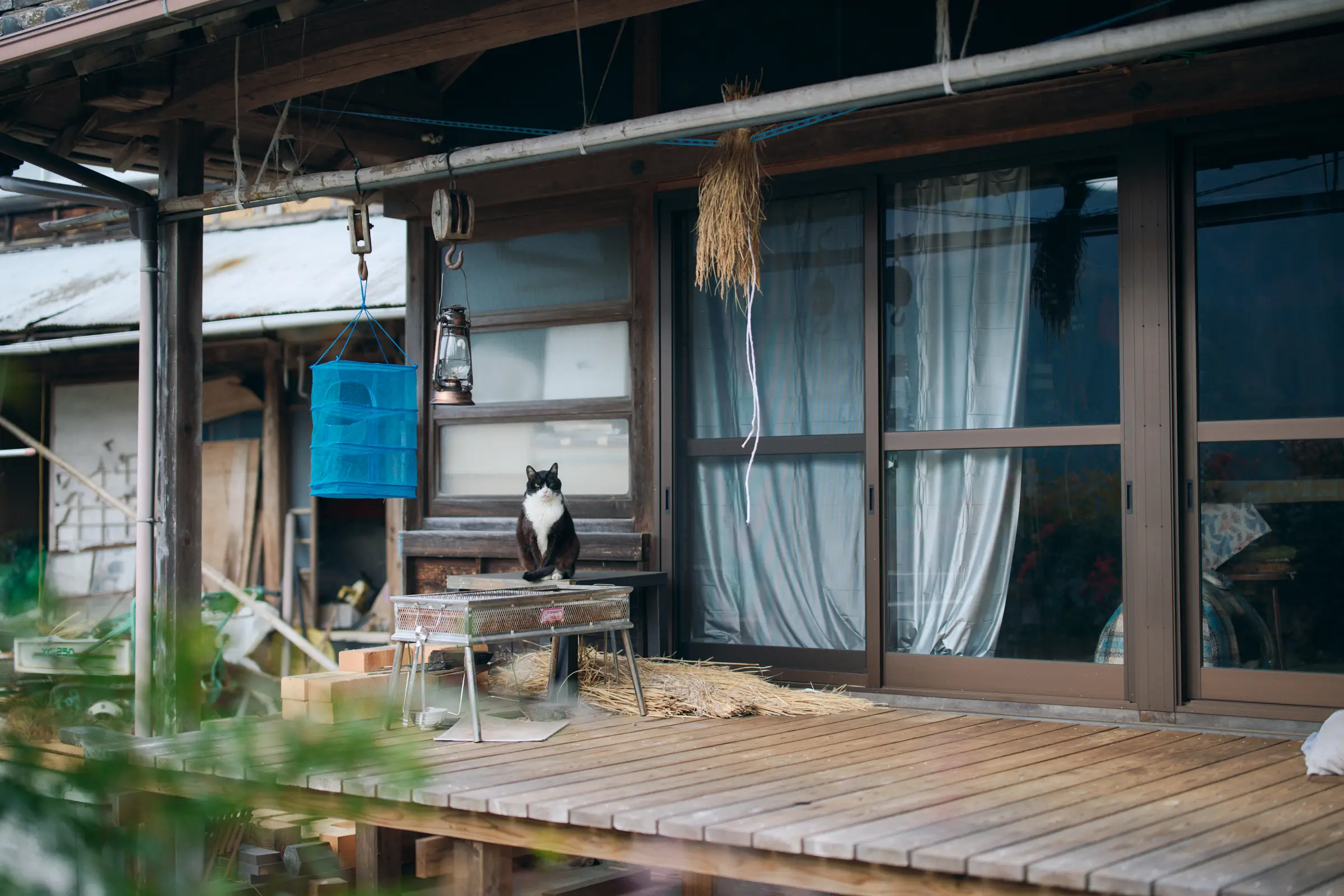 セクション2写真