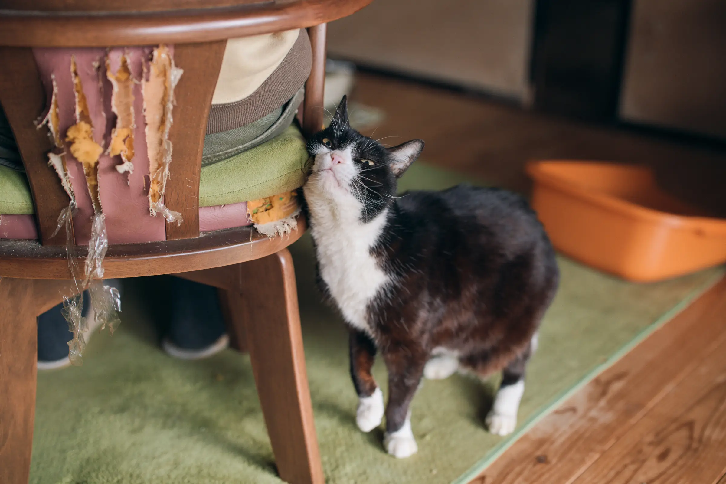 セクション4写真