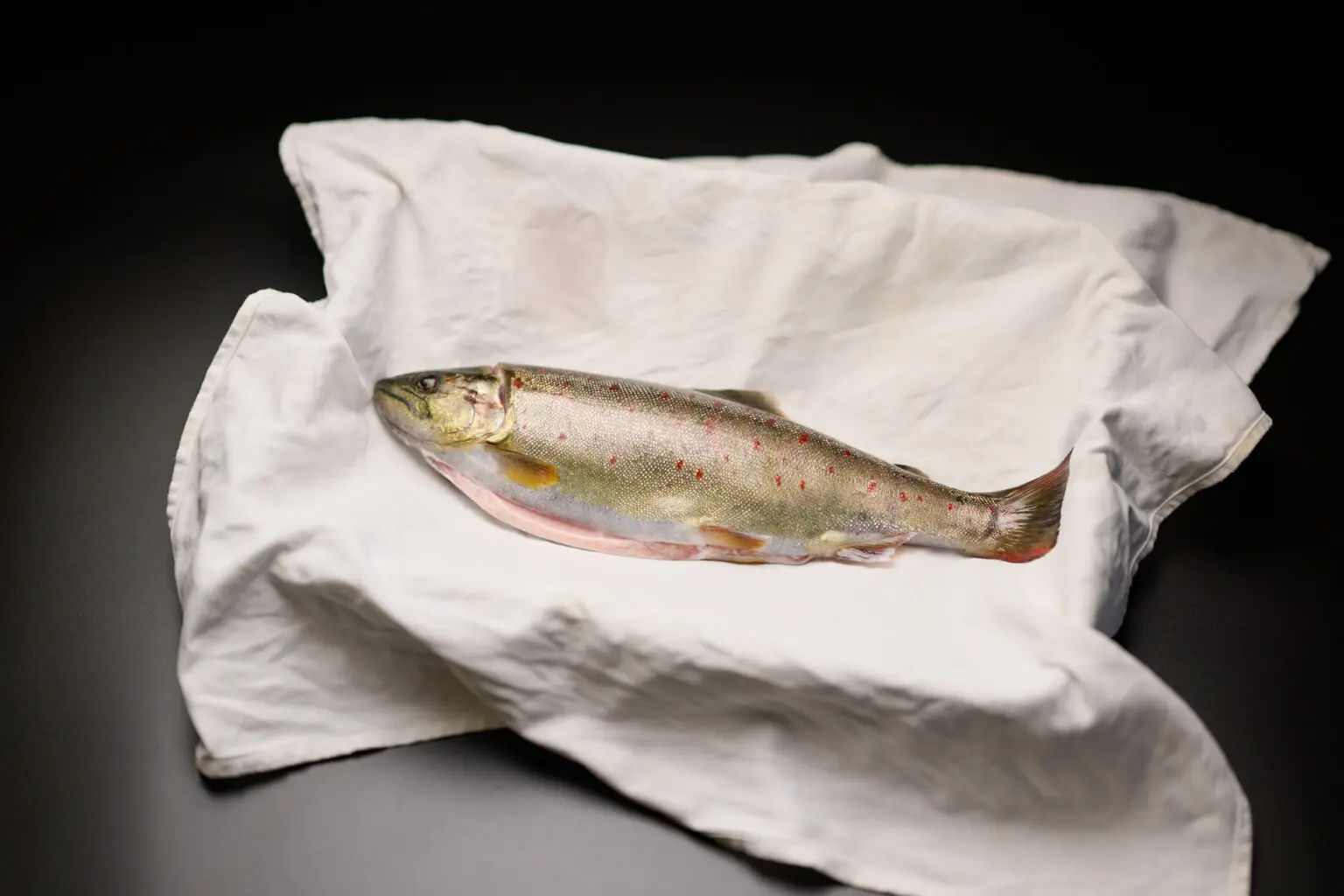 セクション2写真