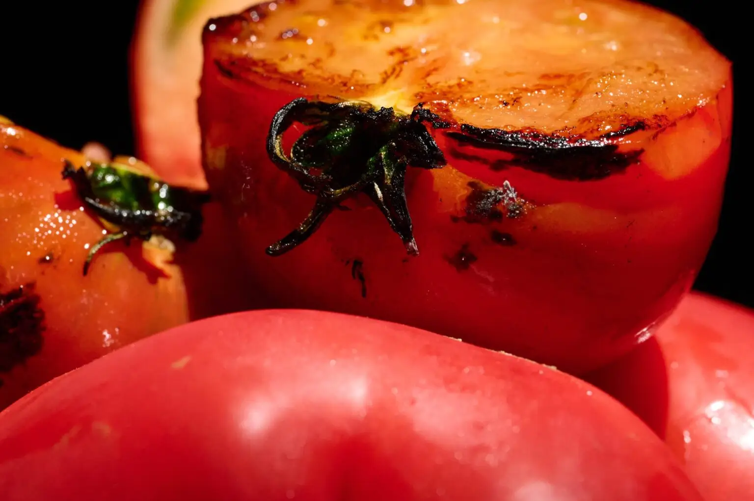 セクション1写真