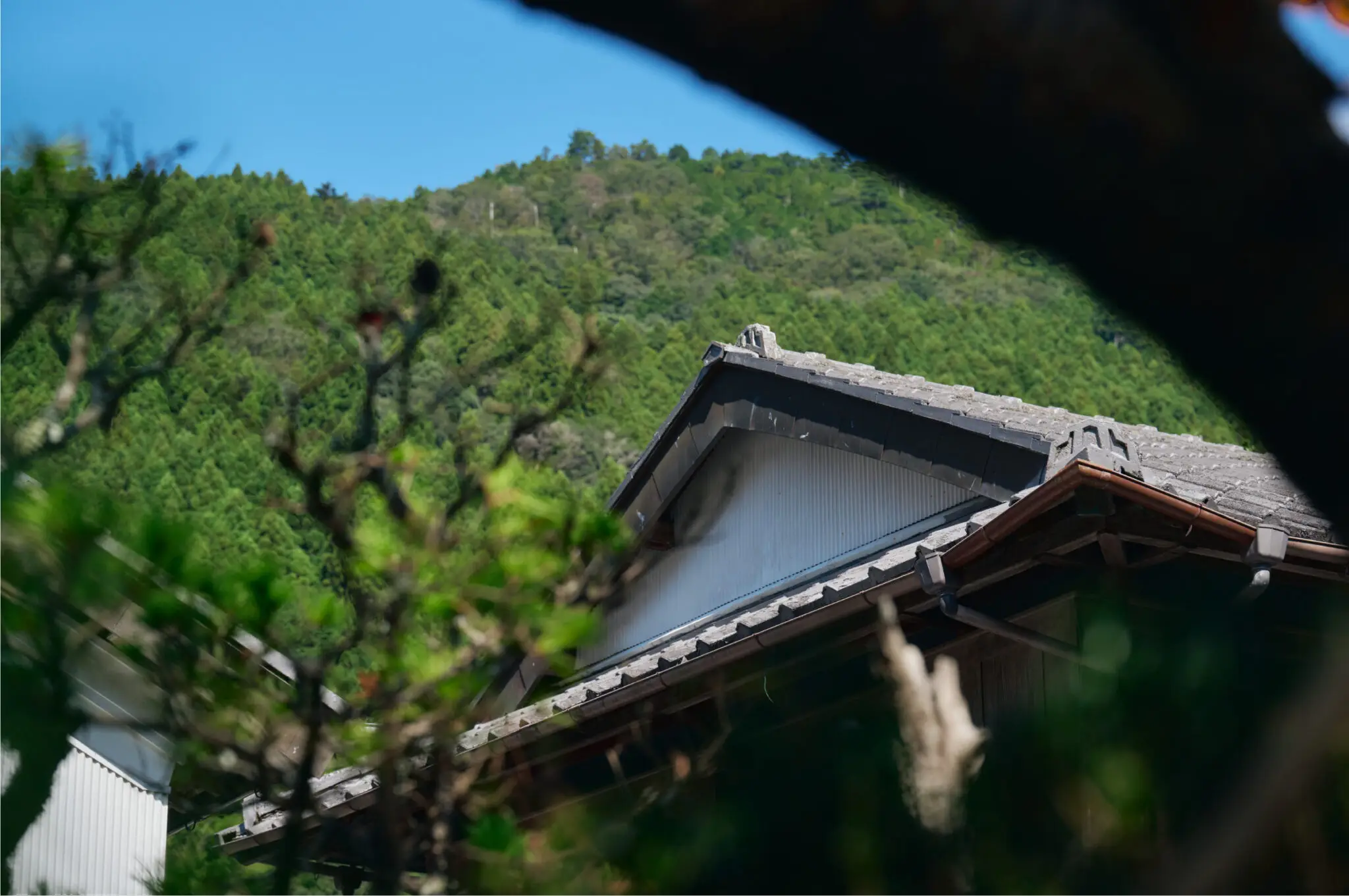 セクション4写真