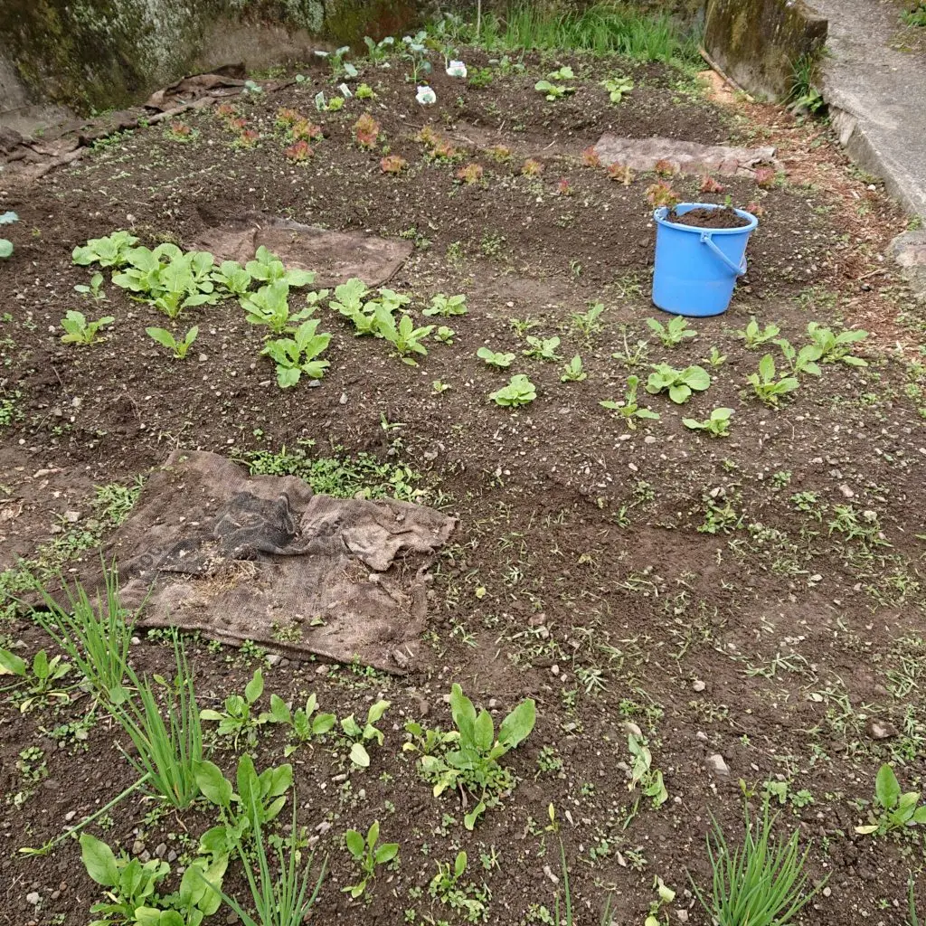 セクション3写真