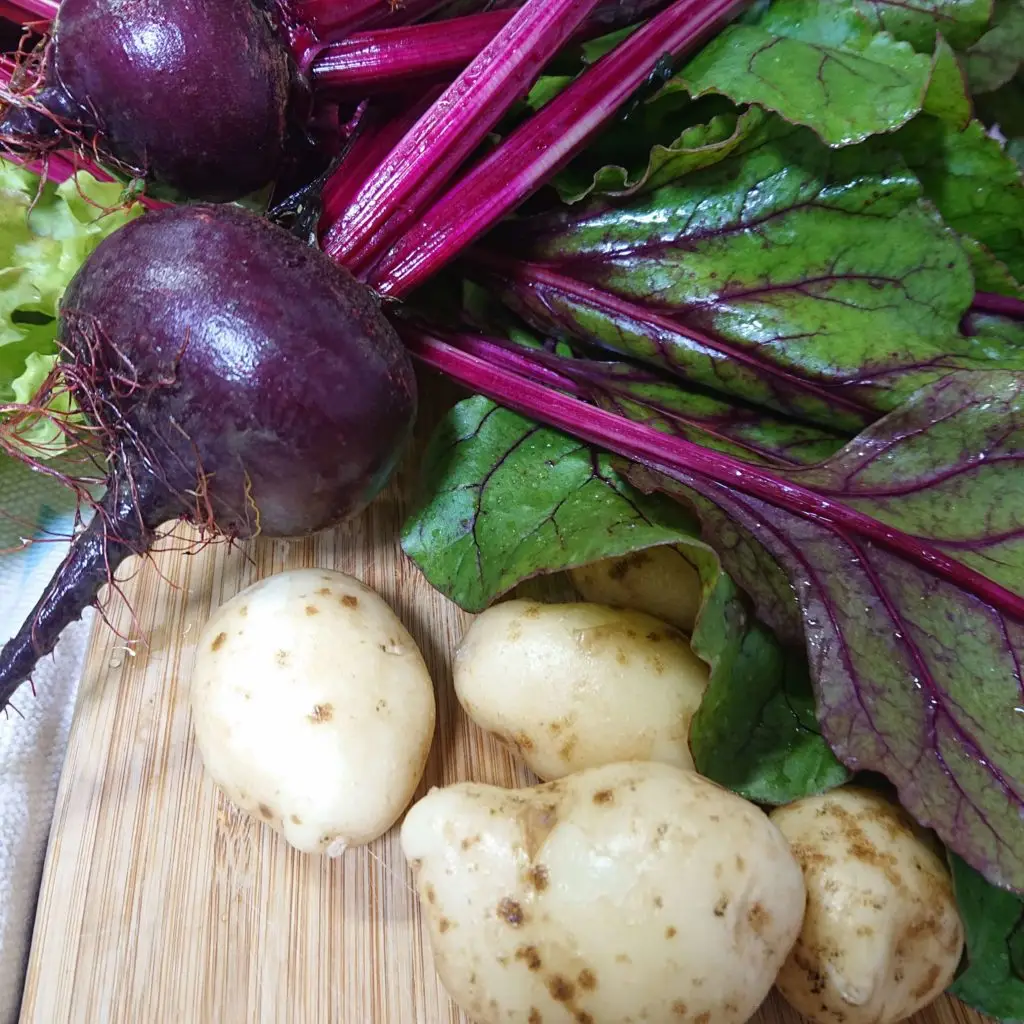 セクション4写真