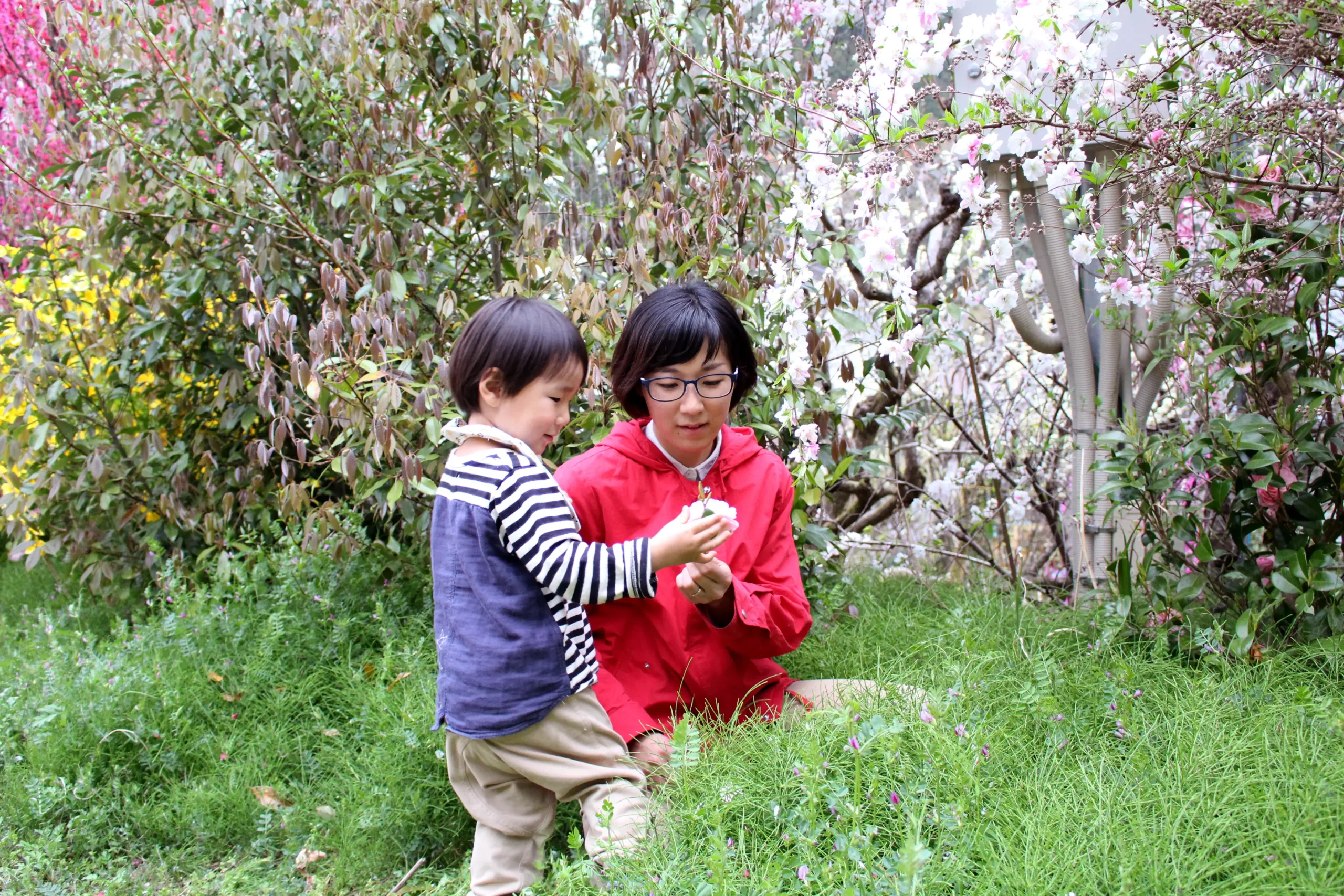 セクション3写真