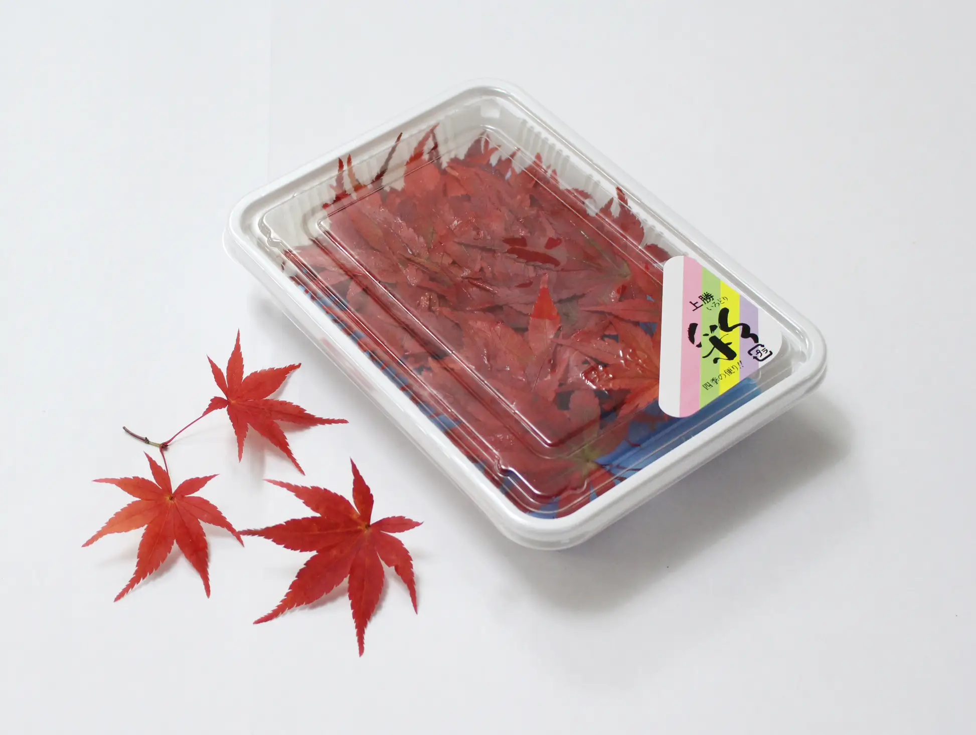 セクション2写真