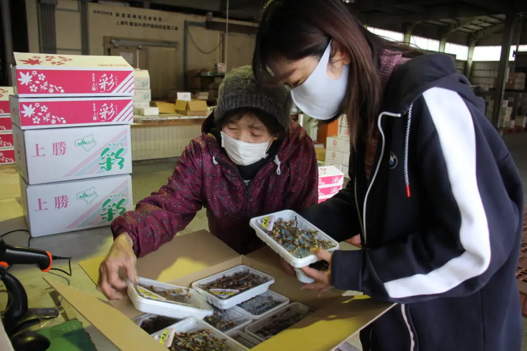 セクション3写真