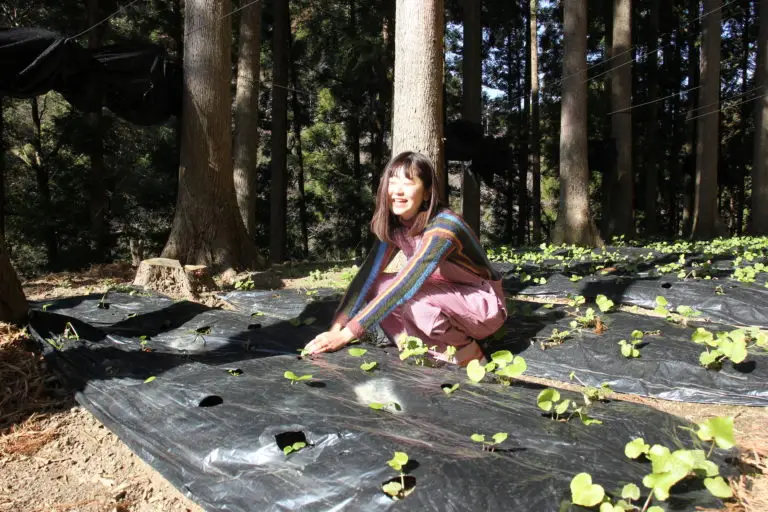 セクション1写真