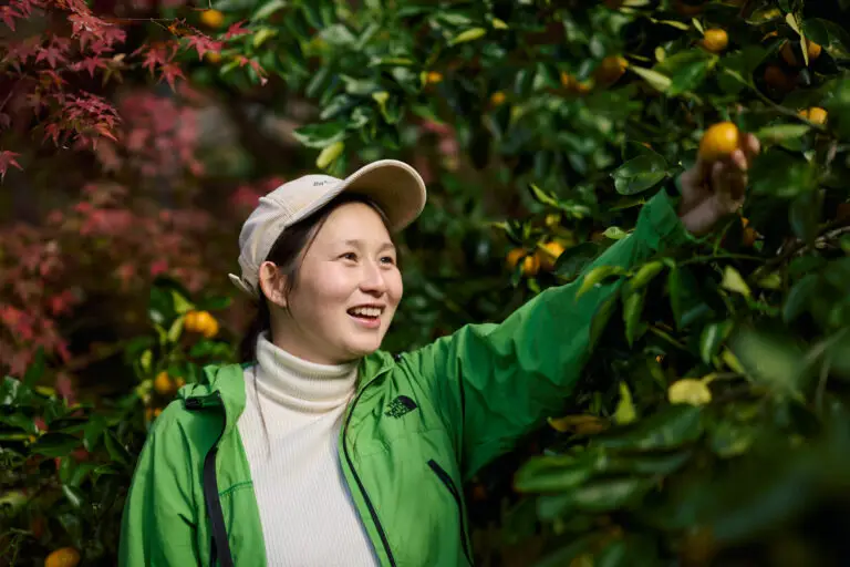 セクション4写真
