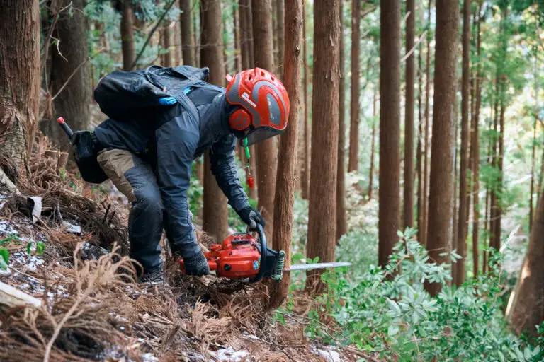 セクション2写真