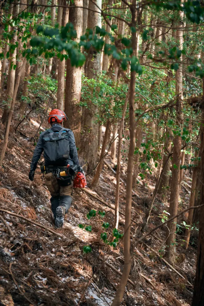 セクション3写真