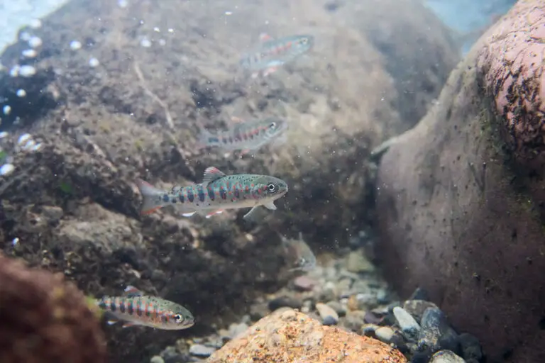 セクション1写真