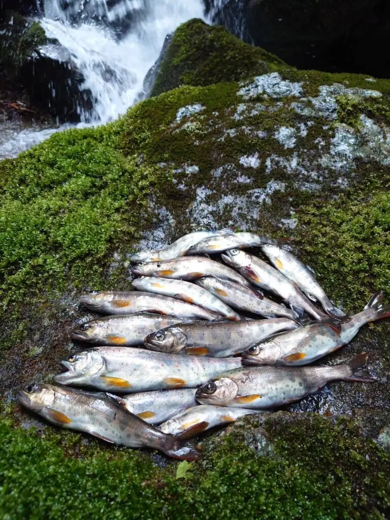 セクション2写真