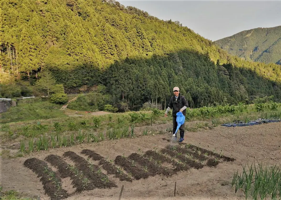 セクション1写真