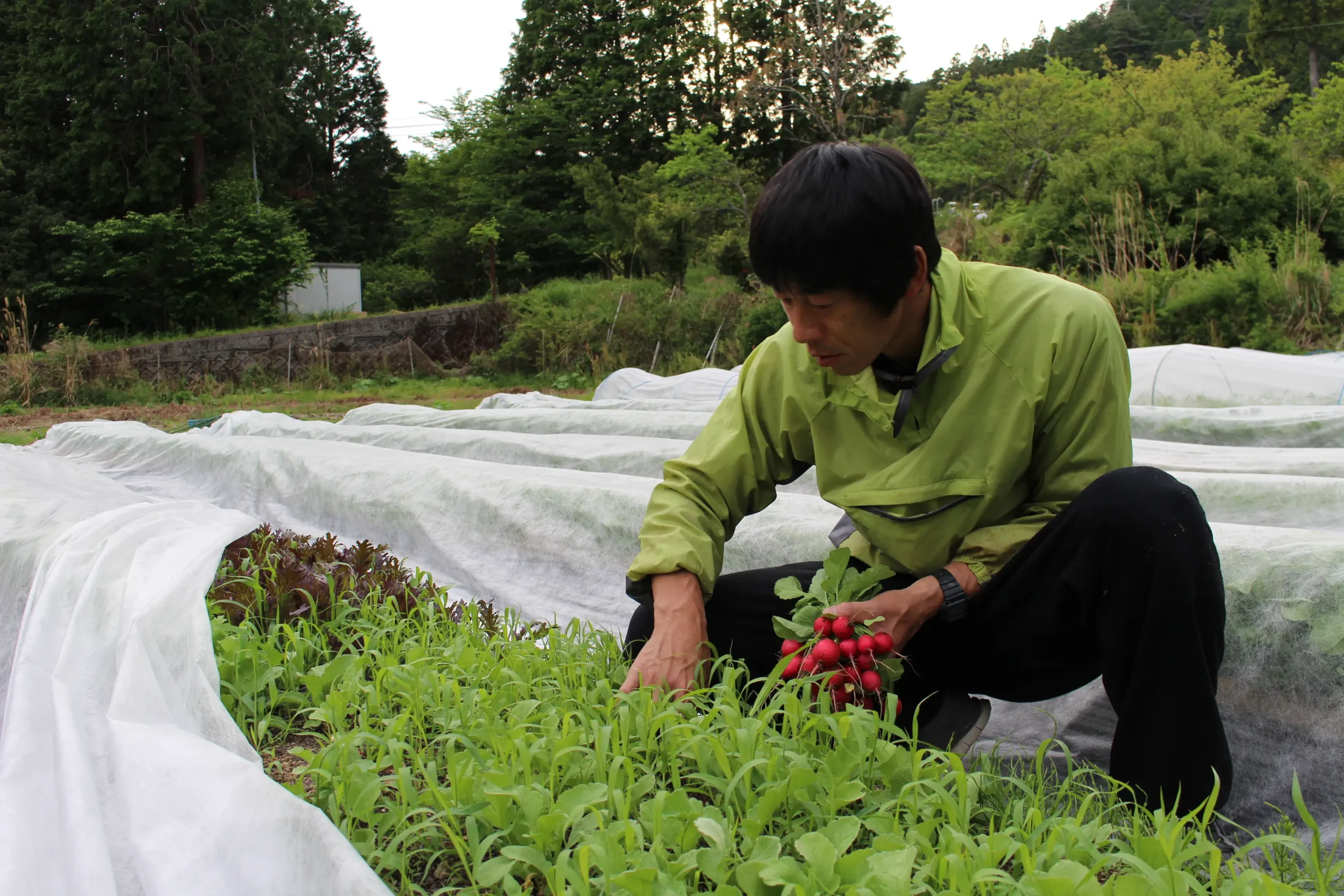 セクション1写真