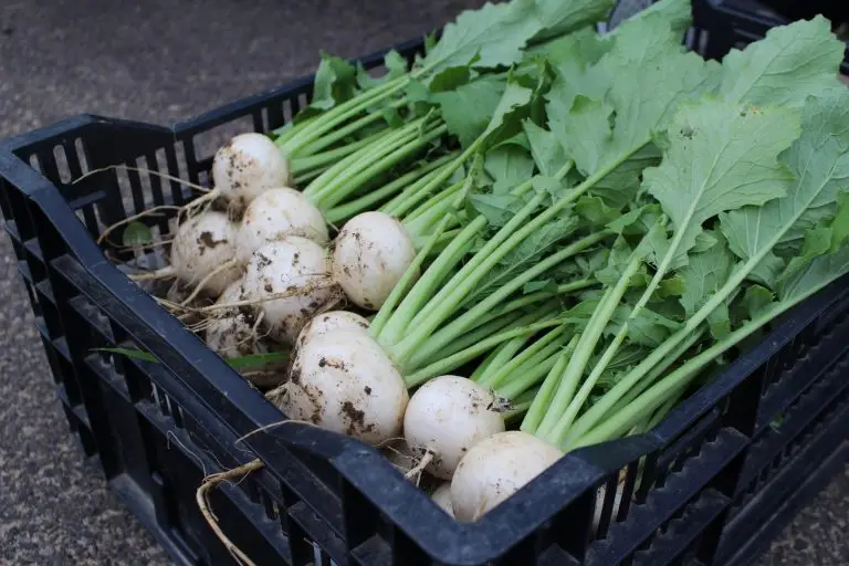 セクション3写真