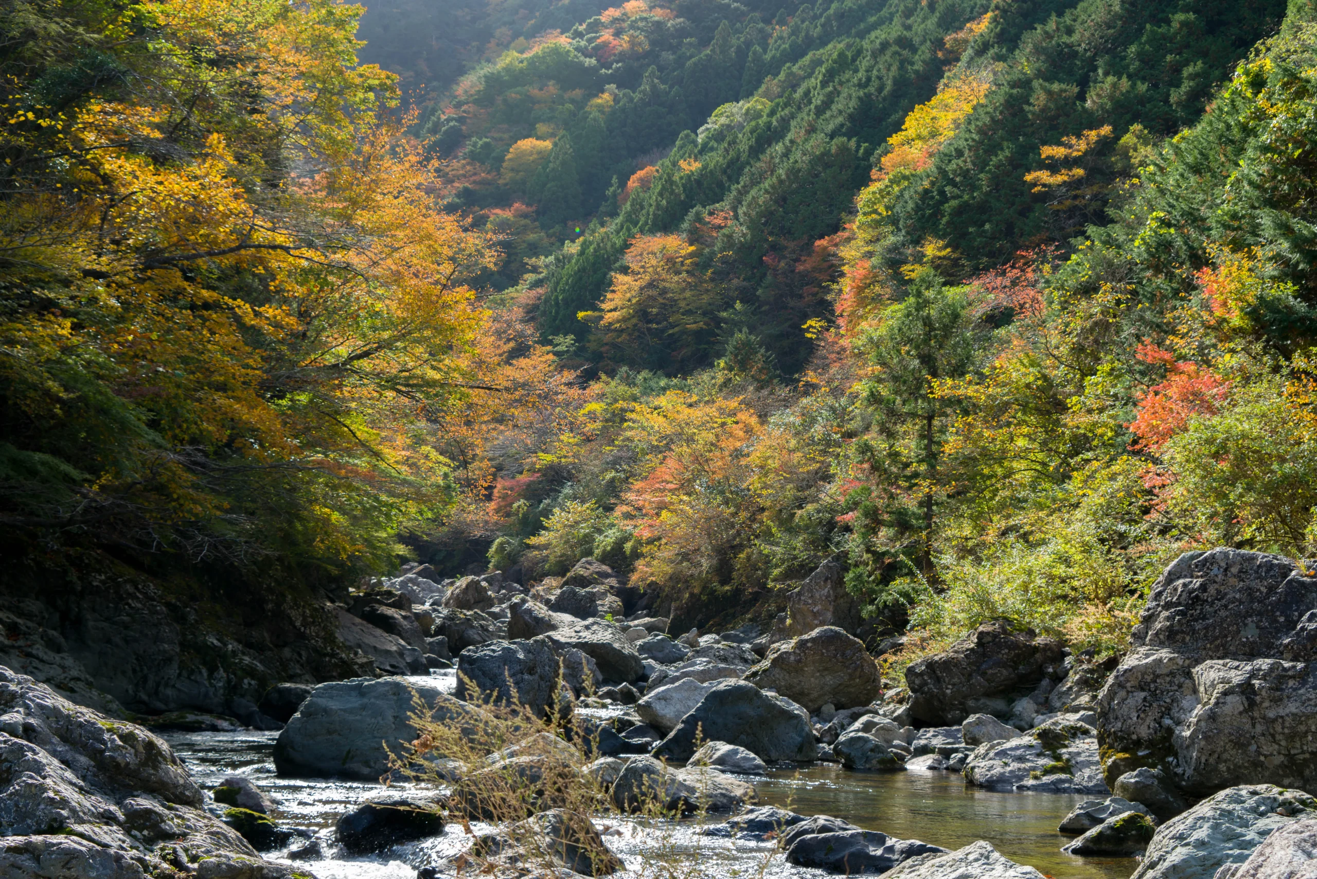 セクション1写真