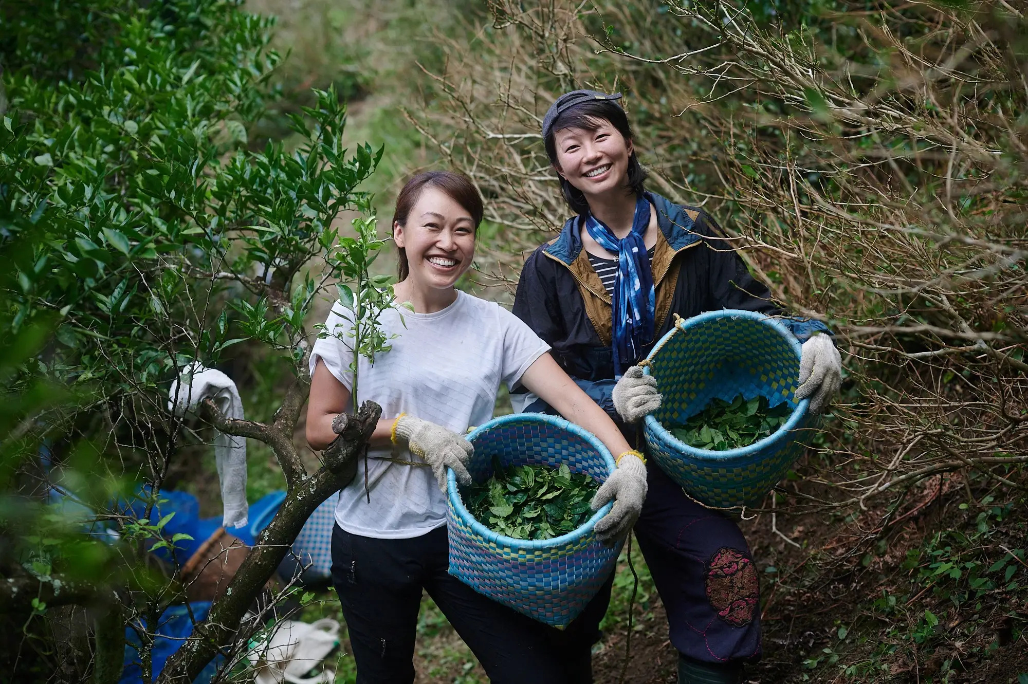 セクション3写真