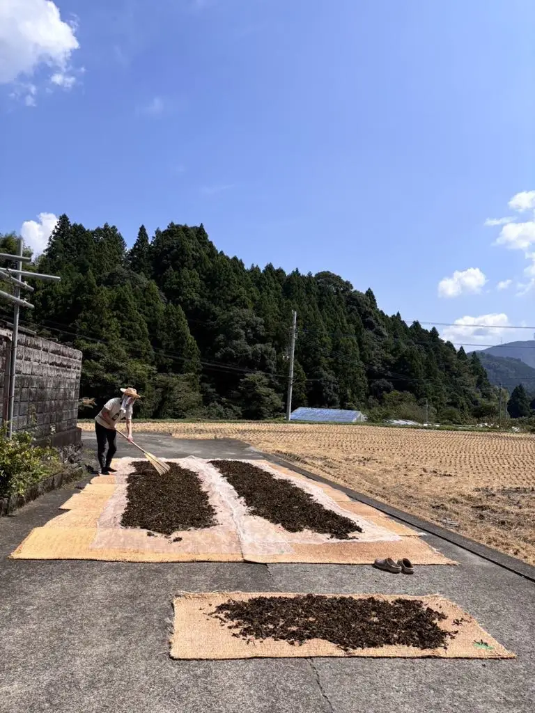 セクション4写真