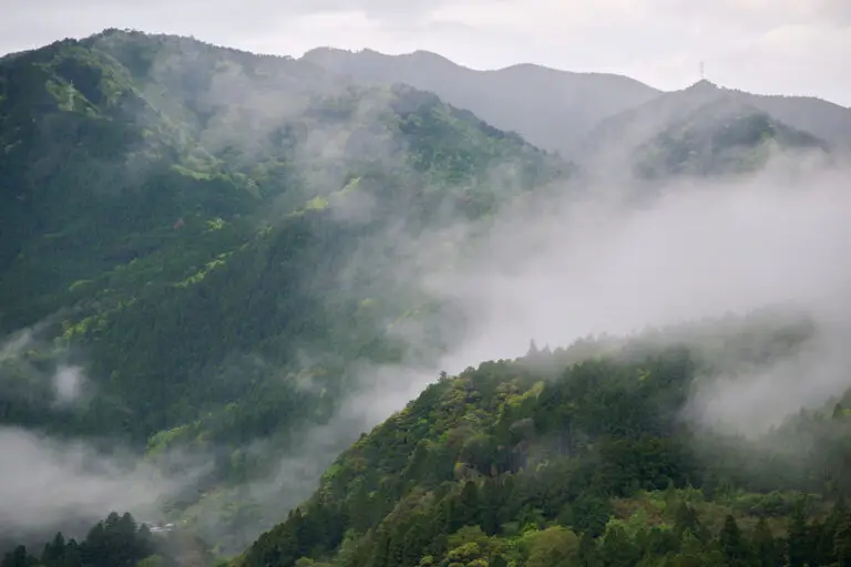 セクション1写真