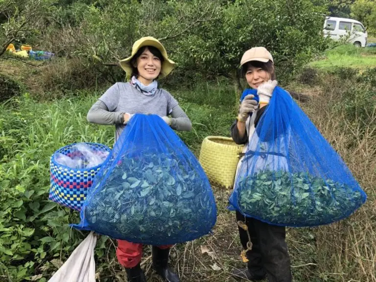 セクション2写真