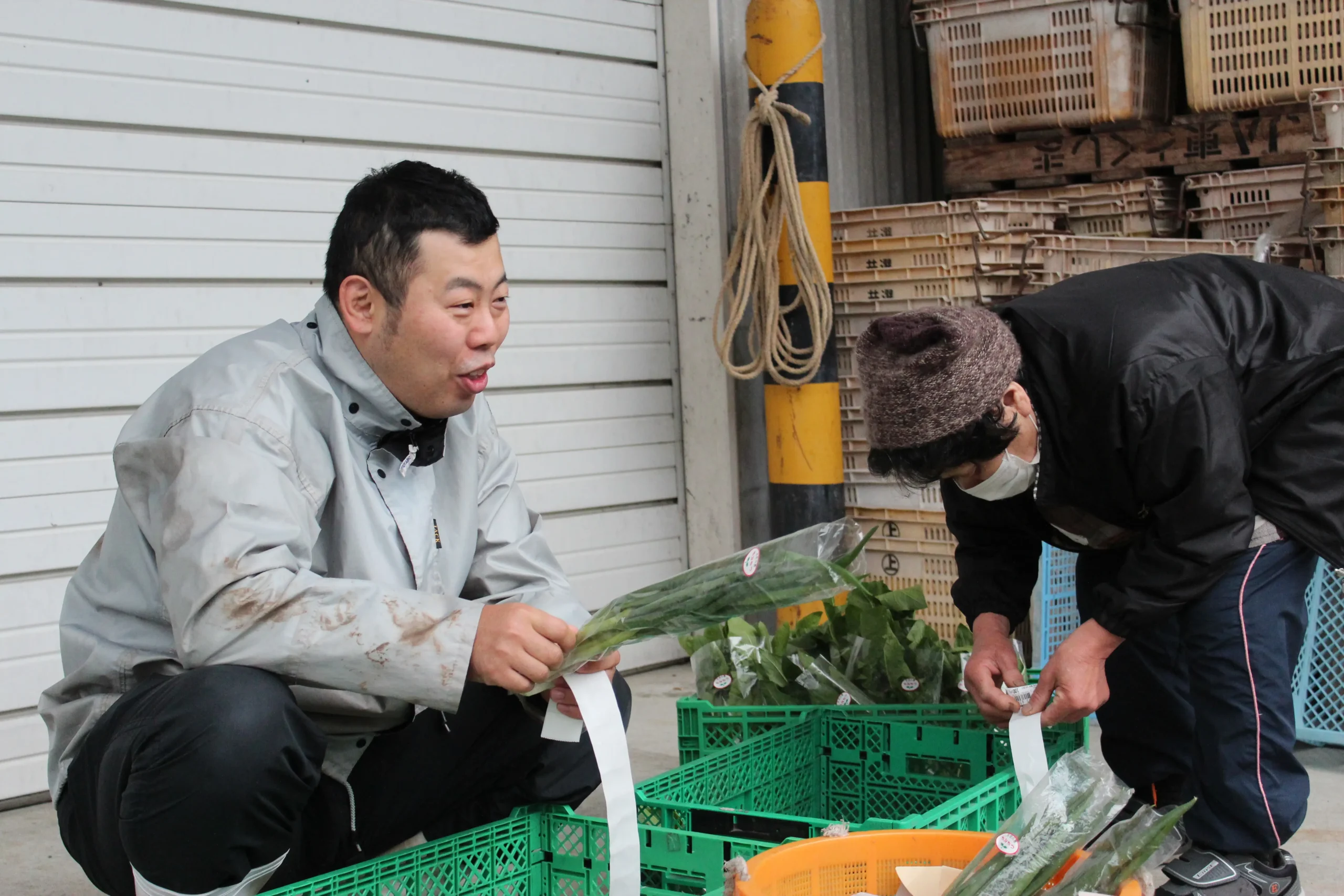 セクション2写真