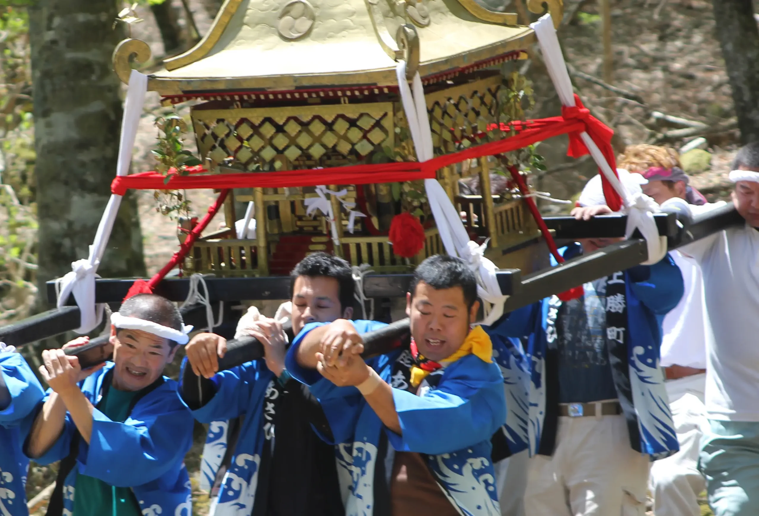 セクション1写真